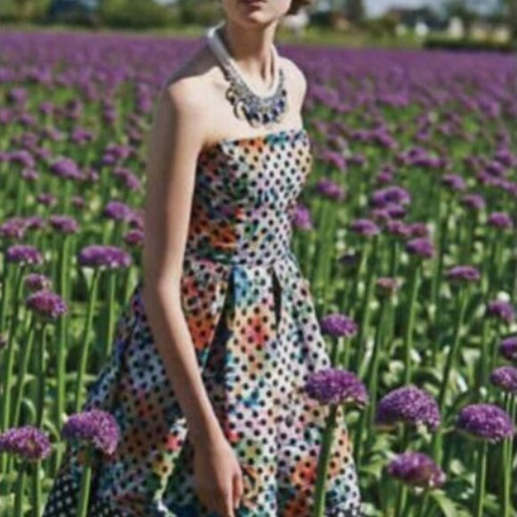 Anthropologie Corey Lynn Carter Polka Dot Dress - Picture 2 of 5